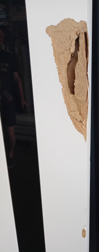 Дверь FLAT Z1 белый №1360